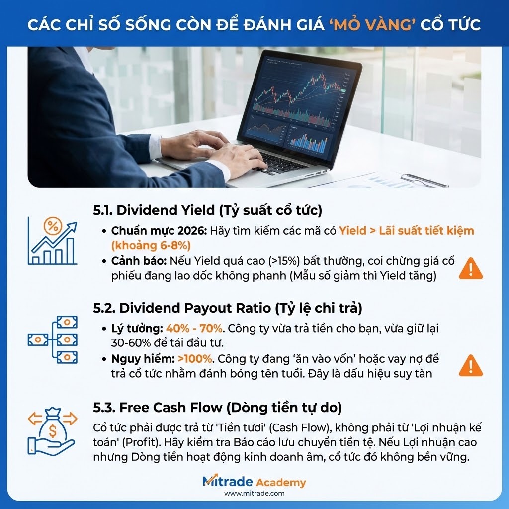 Các chỉ số sống còn để đánh giá "Mỏ vàng" cổ tức