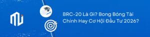 BRC-20 Là Gì? Bong Bóng Tài Chính Hay Cơ Hội Đầu Tư 2026?