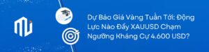 du bao gia vang thang 5 2026 (2)