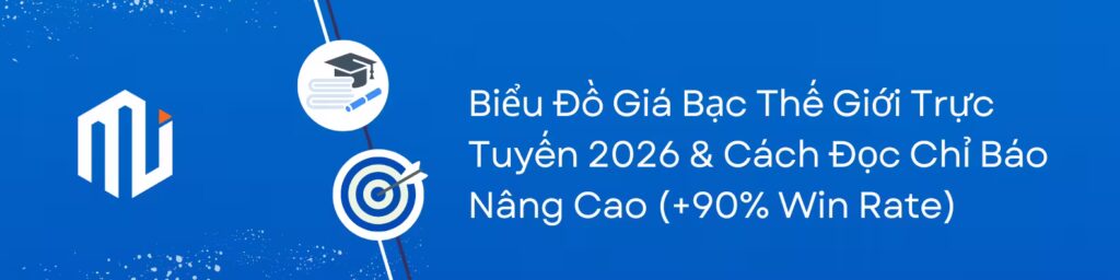 Biểu Đồ Giá Bạc Thế Giới Trực Tuyến