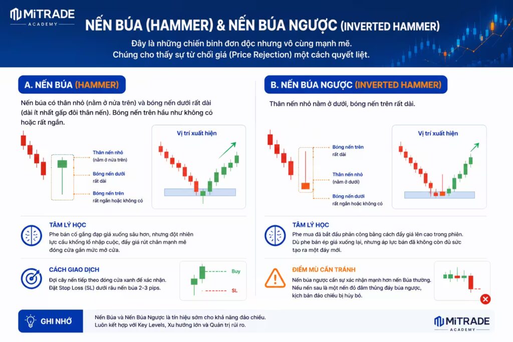 Nến Búa (Hammer) & Nến Búa Ngược (Inverted Hammer)