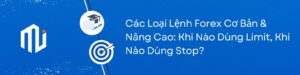 Các Loại Lệnh Forex Cơ Bản & Nâng Cao Khi Nào Dùng Limit, Khi Nào Dùng Stop