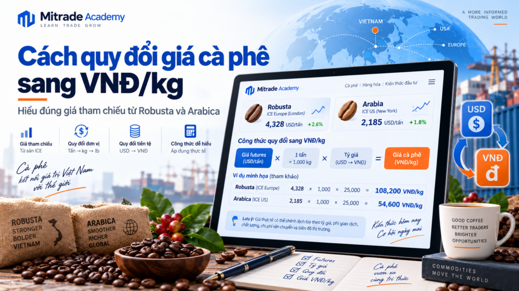 Cách quy đổi giá Robusta và Arabica sang VNĐ/kg