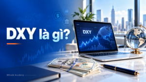 thumbnail DXY la gi